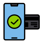 Online Payment
